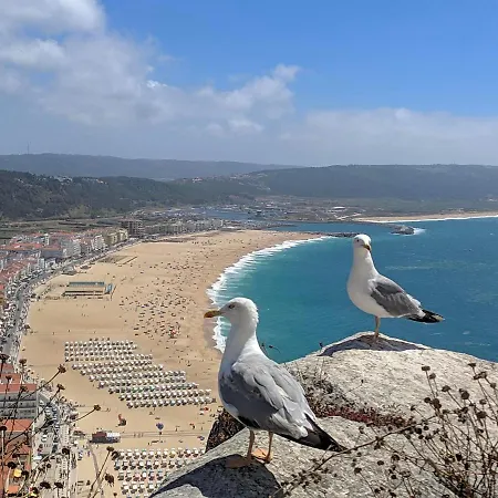 Apartment Blue Boat House - The Atlantic Breeze Nazare