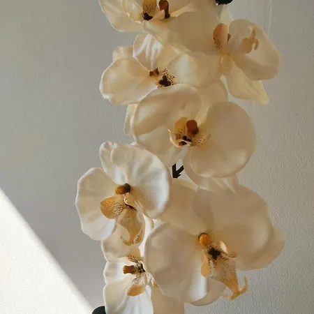 Blue Boat House - The Atlantic Breeze