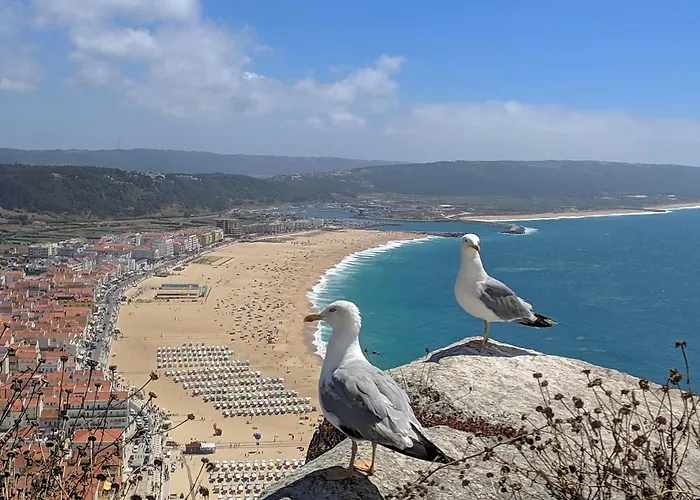 Apartmán Blue Boat House - The Atlantic Breeze Nazaré