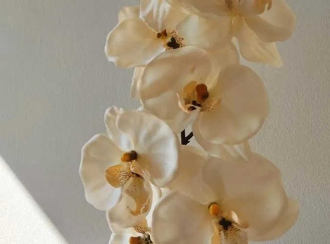 Blue Boat House - The Atlantic Breeze