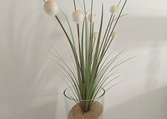 Blue Boat House - The Atlantic Breeze